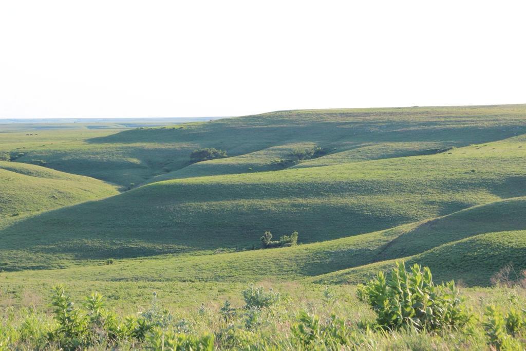 Elmdale Clover Cliff Ranch Bed And Breakfast المظهر الخارجي الصورة